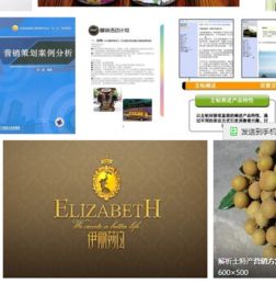 运城新湖盛茂网络科技 网络营销策划与设计销售一体化服务案例