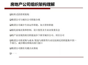 房地产营销策划 项目设计与销售技巧全集