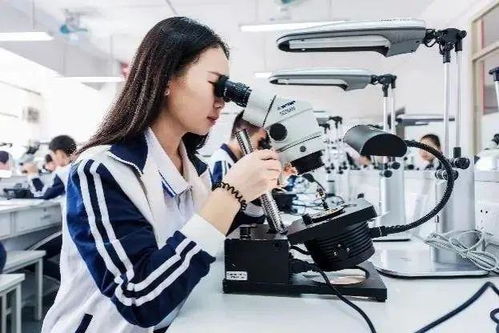 从制造到智造 番禺珠宝之都的都市跃迁，珠光宝气中暗藏文化增值密钥